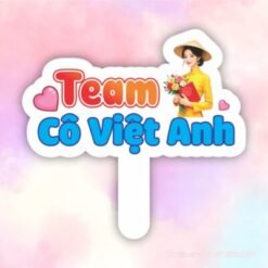Hashtag team cô giáo Việt Anh