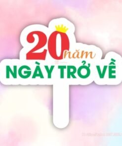 Họp lớp 20 năm ngày trở về