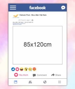 Khung check-in Facebook Vietnam post